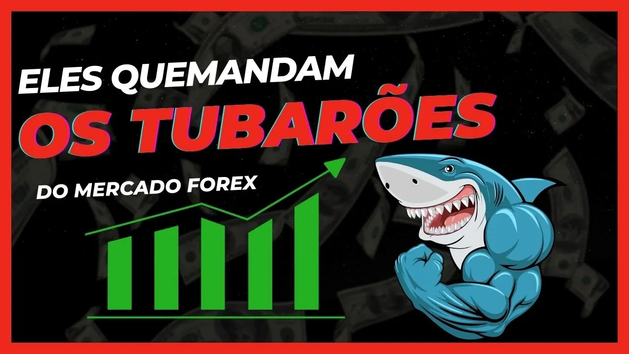 Eles quem mandam.jpg Eles quem mandam.jpg