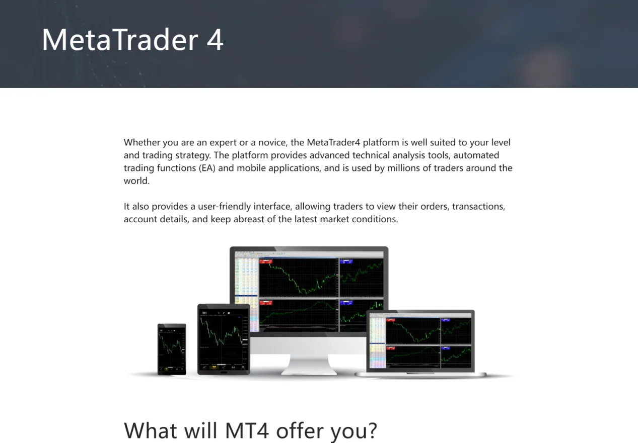 MT4