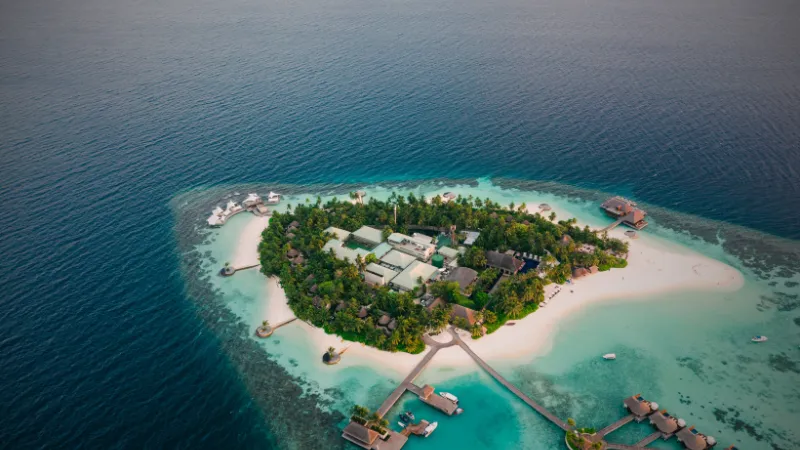 bahamas.png