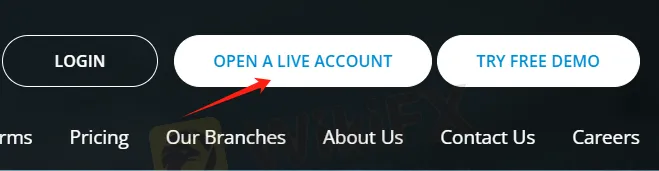 How to Open an Account?