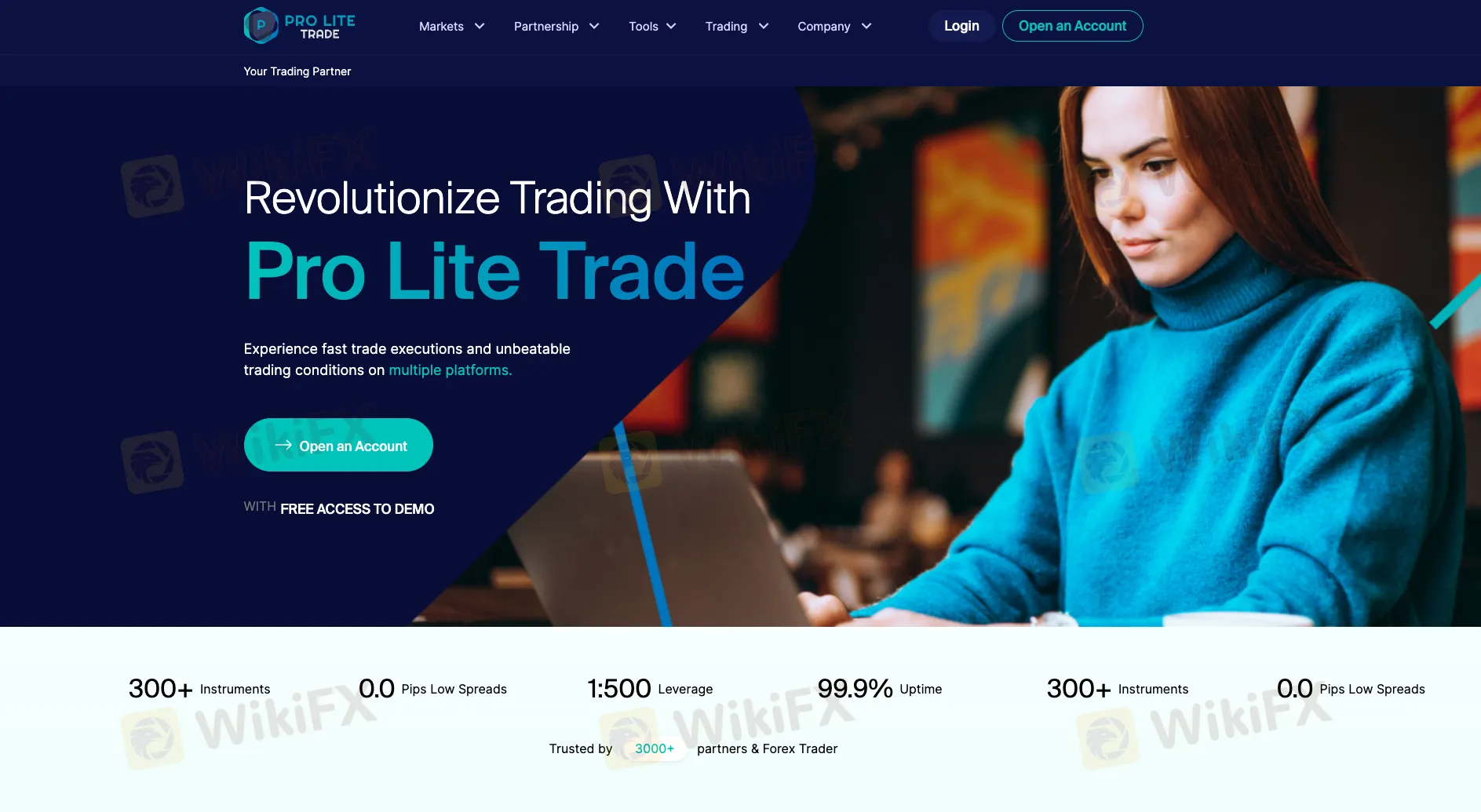 Pangkalahatang-ideya ng Prolite Trades