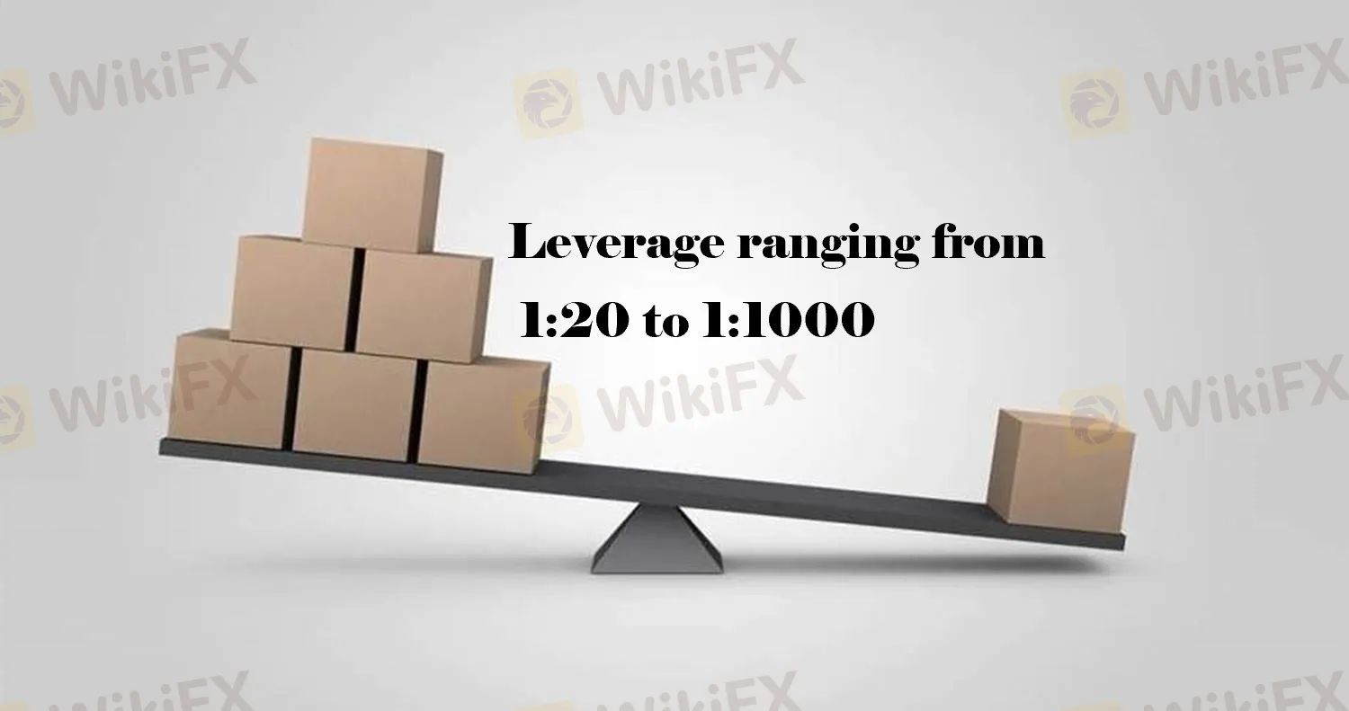 Leverage