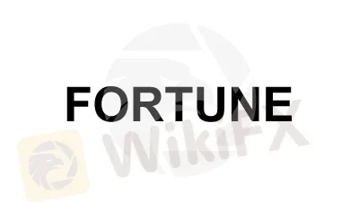 Overview of FORTUNE