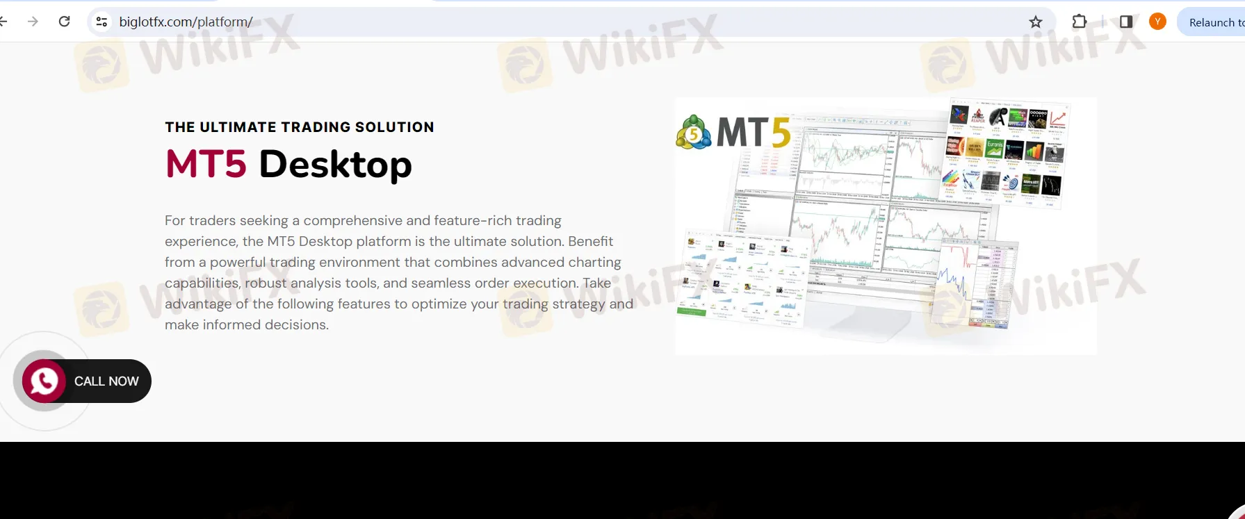 MT5 Trading Platforms