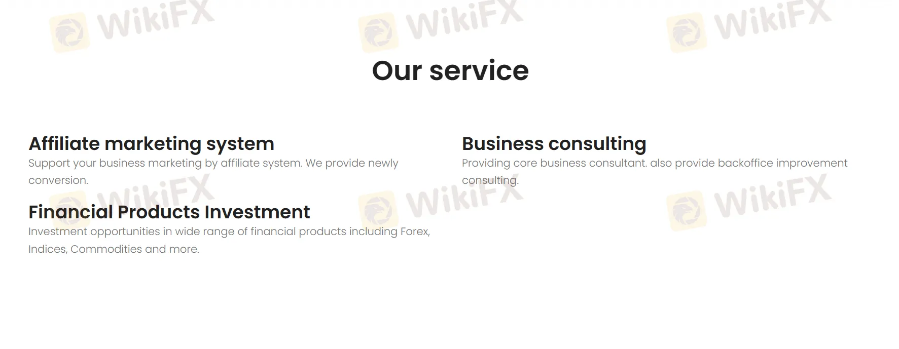 Services of BIG Solutions Company Limited