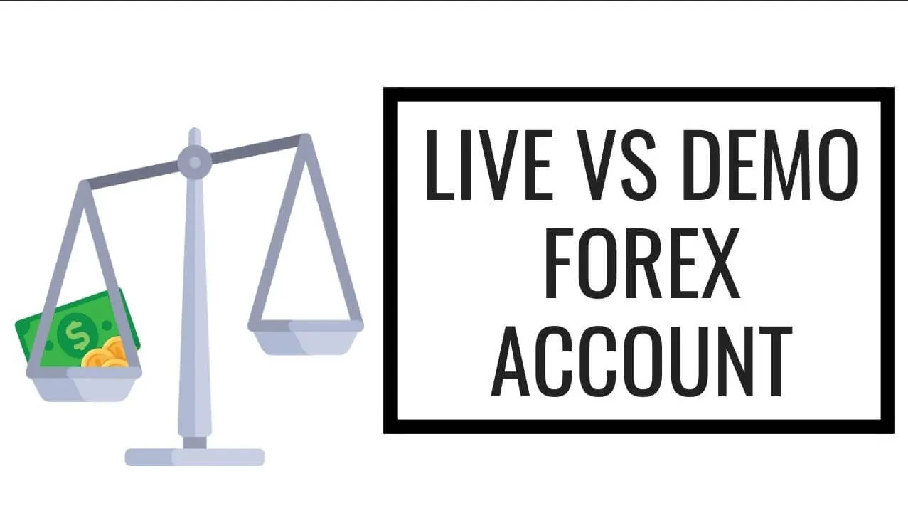 Demo Account vs. Real Account