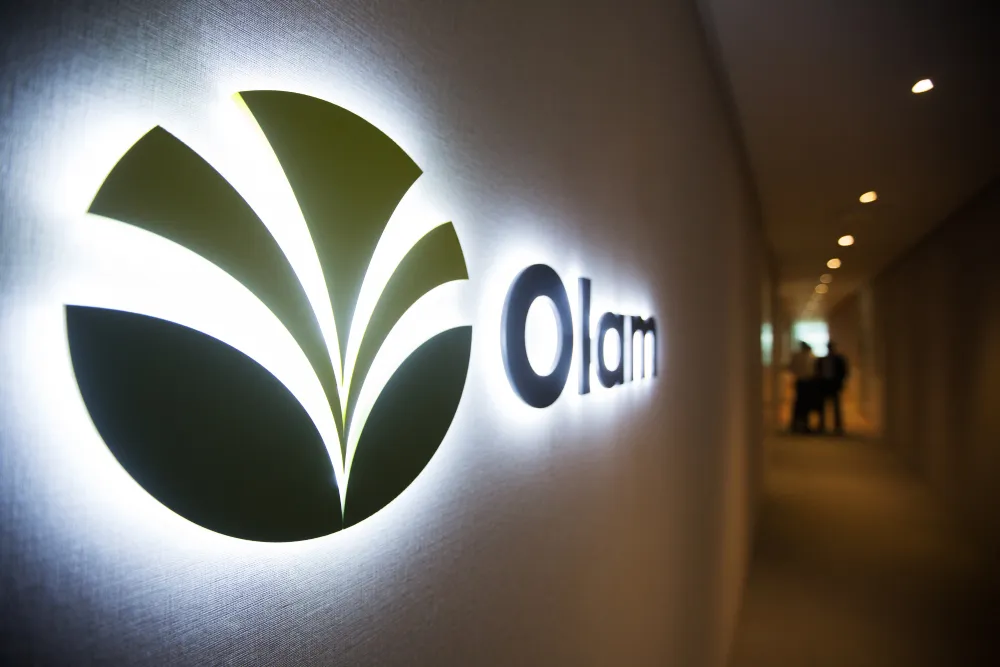 olam.png