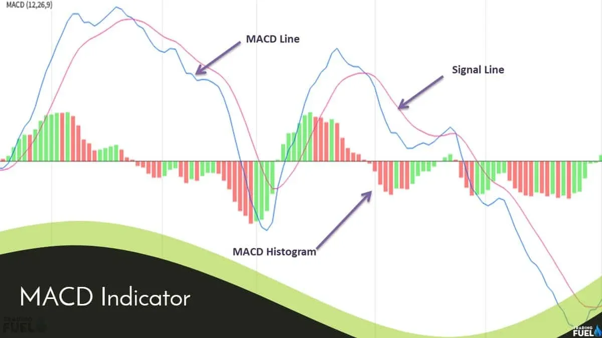 MACD Indicator