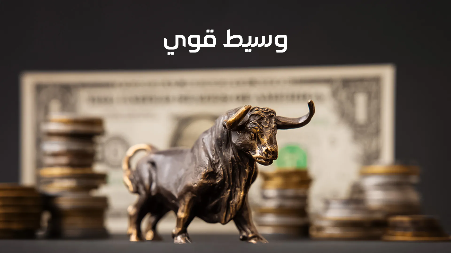 وسيط-قوي-ويب3.jpg