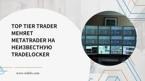 Top Tier Trader меняет MetaTrader на неизвестную TradeLocker.jpg Top Tier Trader меняет MetaTrader на неизвестную TradeLocker.jpg