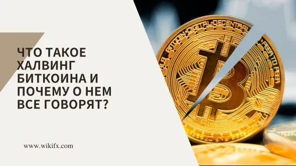 халвинг биткойна.jpg халвинг биткойна.jpg