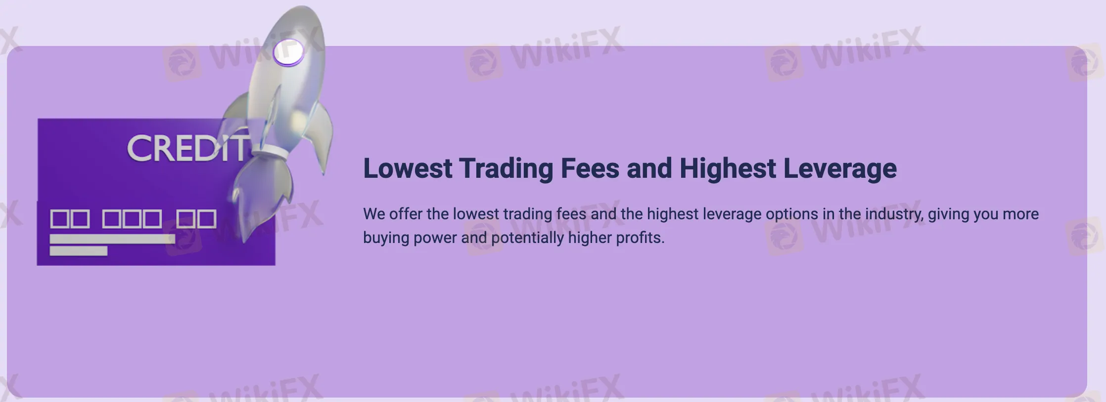 Leverage & Fees Leverage & Fees