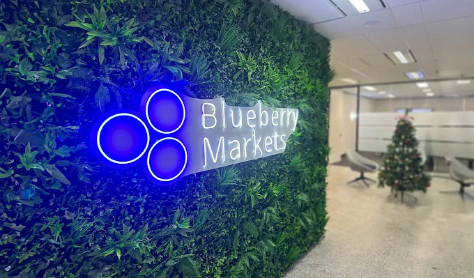 bluemarkets.png