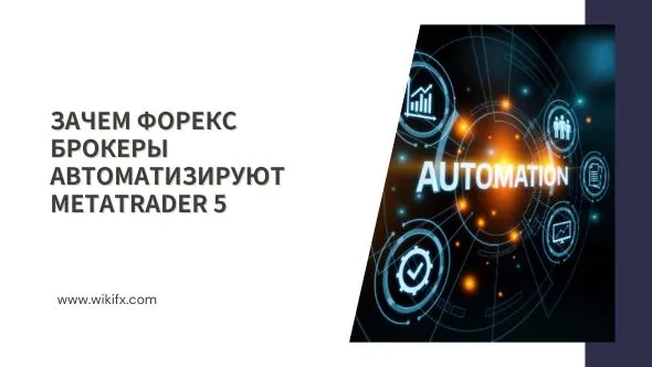 Зачем форекс брокеры автоматизируют MetaTrader 5.jpg Зачем форекс брокеры автоматизируют MetaTrader 5.jpg