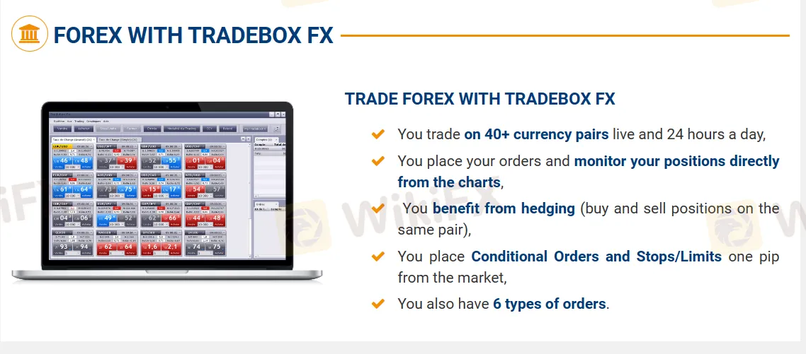 Forex