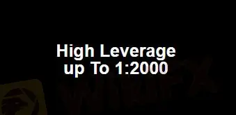 الرافعة المالية