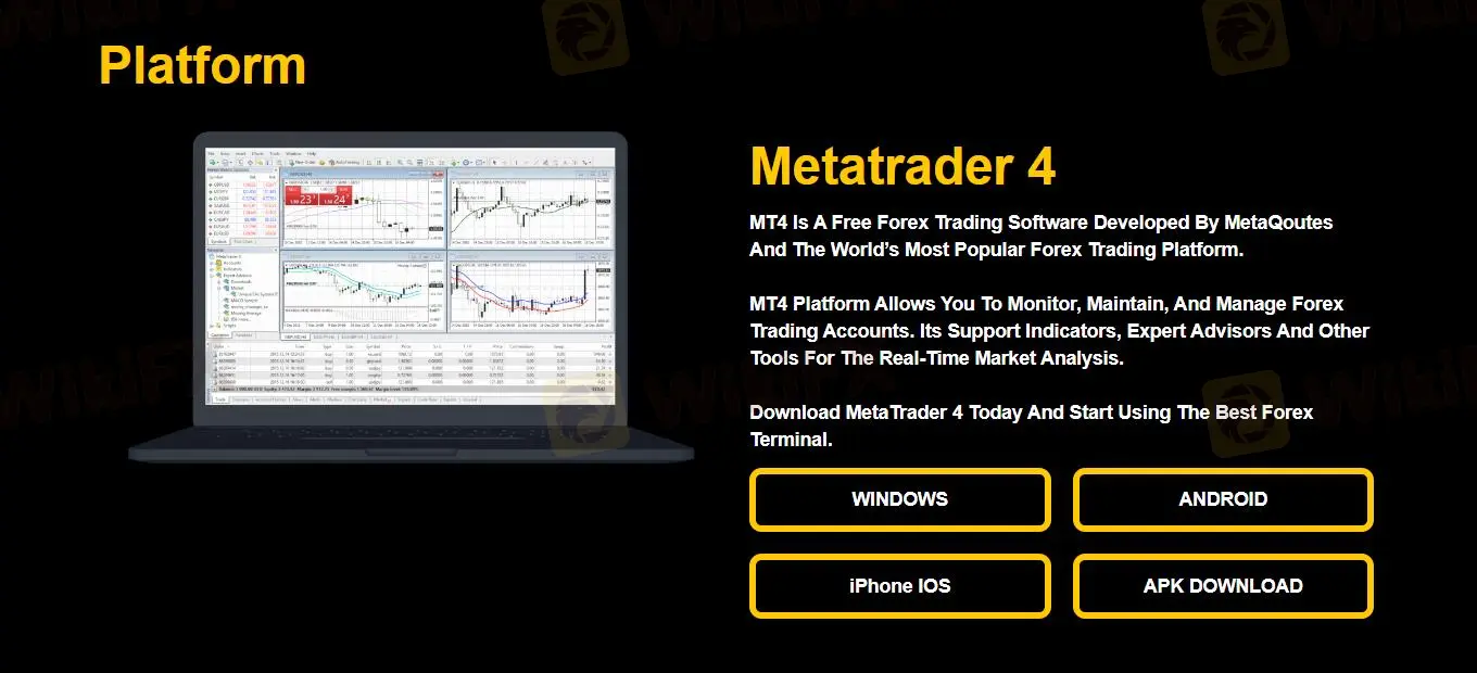 منصات التداول