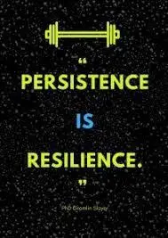 Persistence and Resilience
