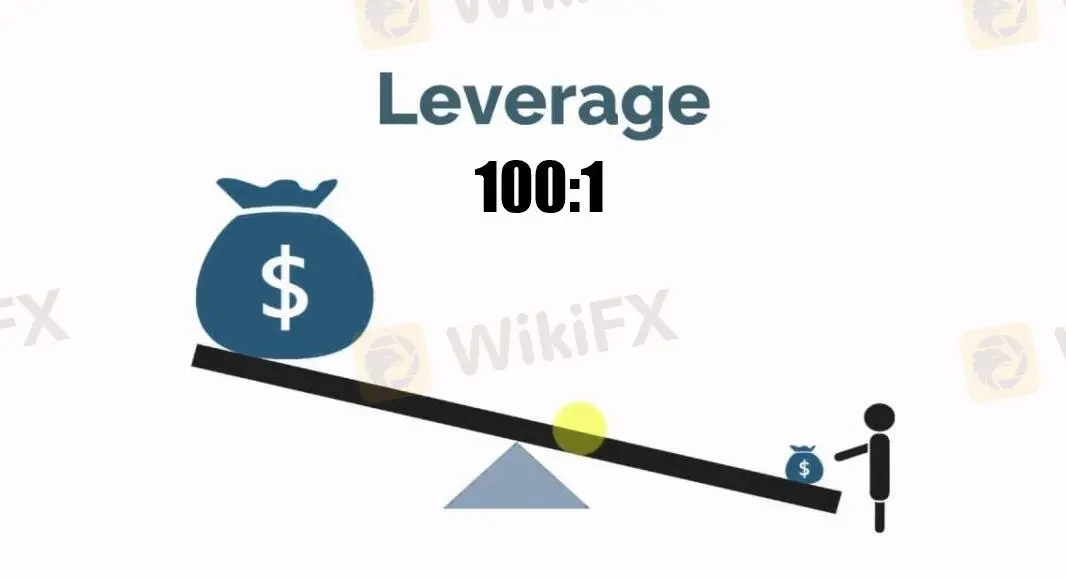 Leverage