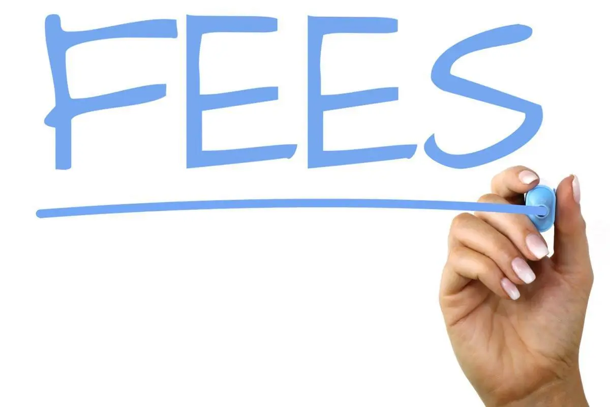 Fees Applied for Using Ledger Wallet