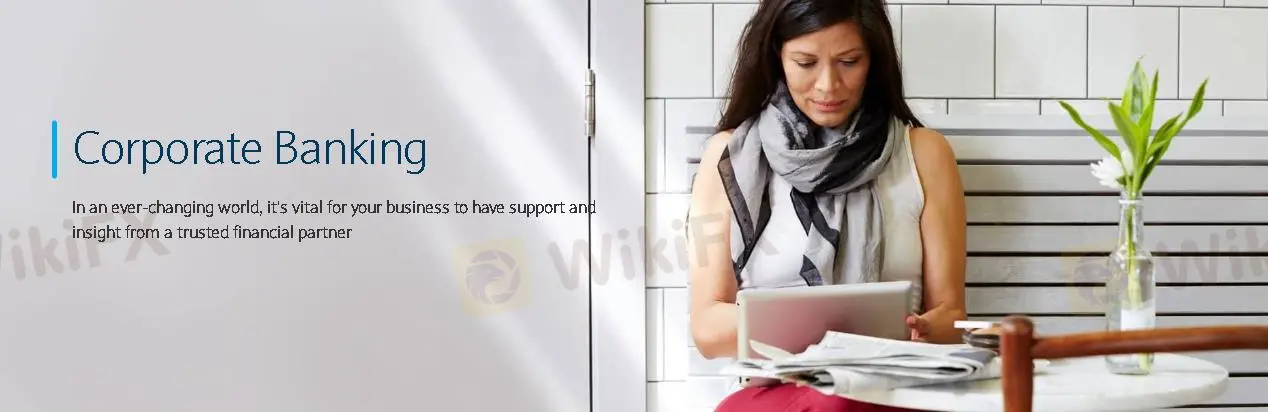 企业银行 企业银行