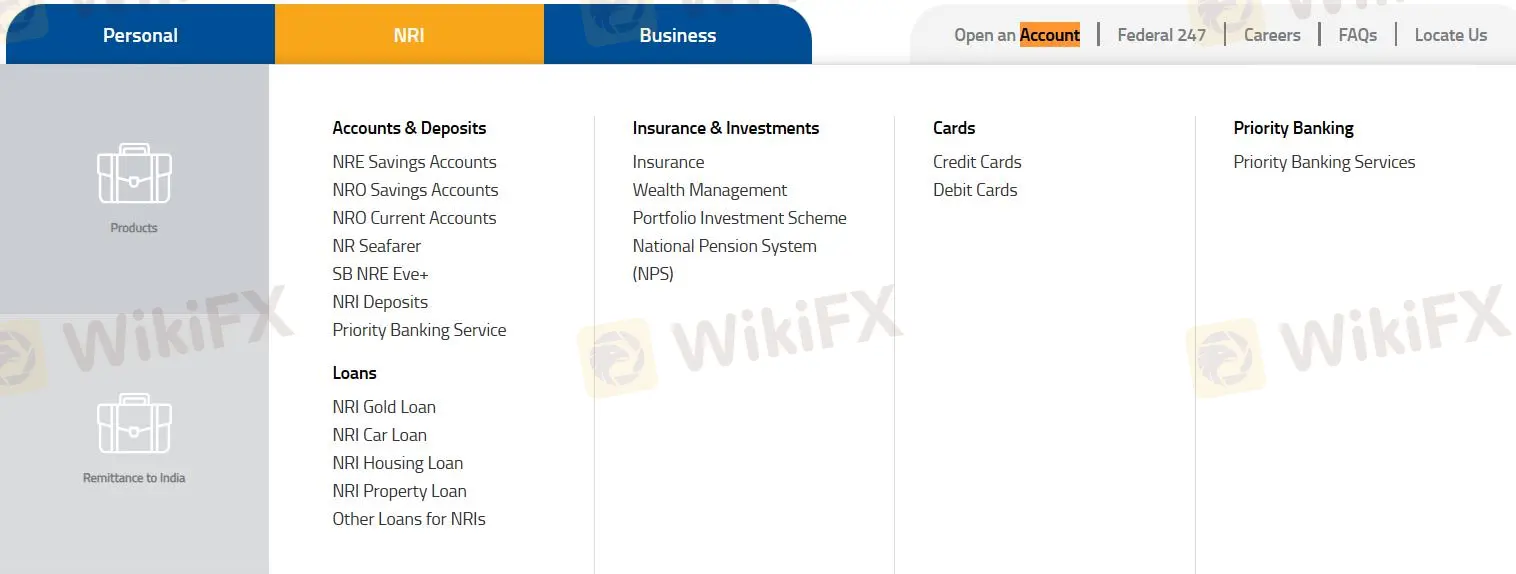 services for NRIs (Non-Resident Indians)