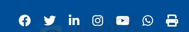 social media