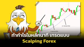 ทำกำไรในหลักนาที เทรดแบบ Scalping Forex