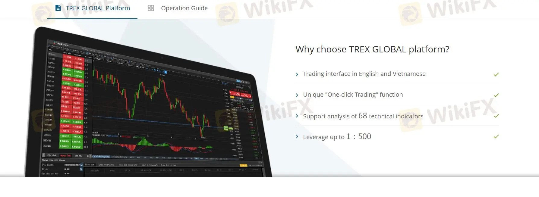 TREX GLOBAL