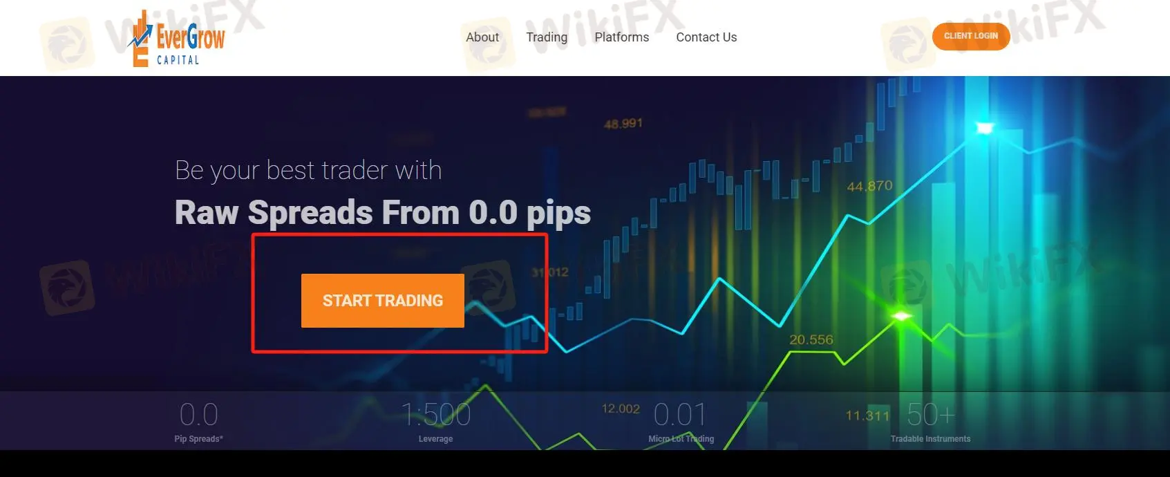 点击“GET STARTED”按钮