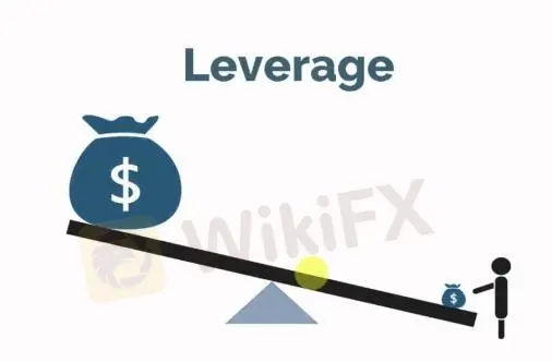 Leverage