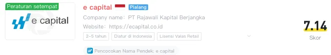 e-capital-wiki.png