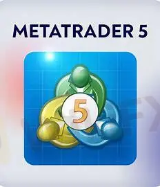 MT5 MT5