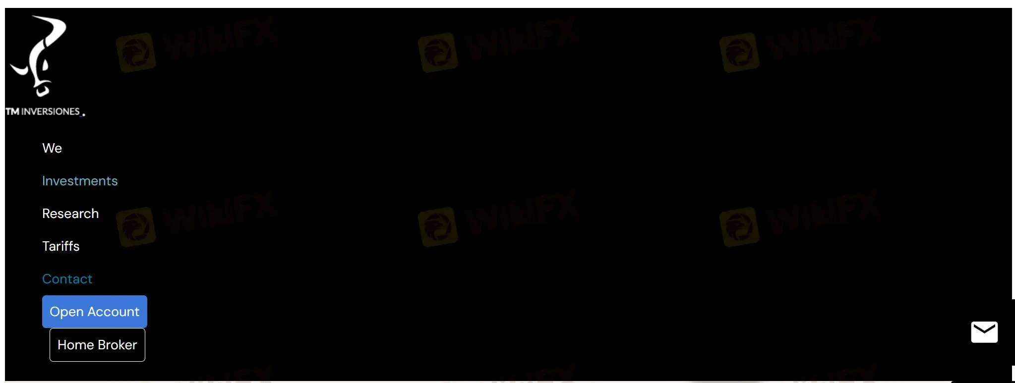 Overview of TM Inversiones