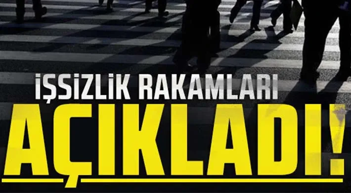 2022-yili-issizlik-rakamlari-aciklandi-1679558735.png 2022-yili-issizlik-rakamlari-aciklandi-1679558735.png