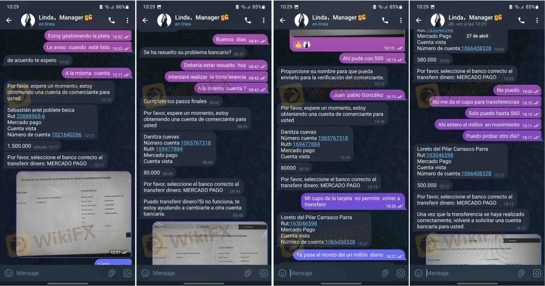 Chats.png