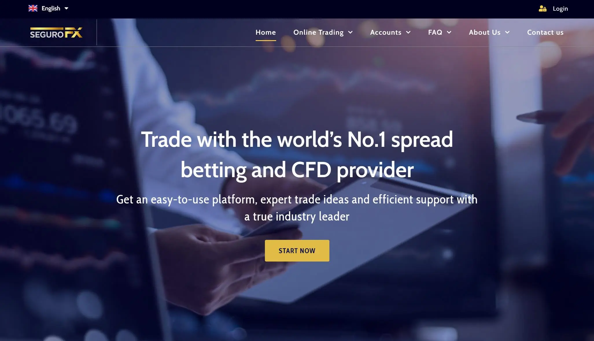 Overview of SeguroFX