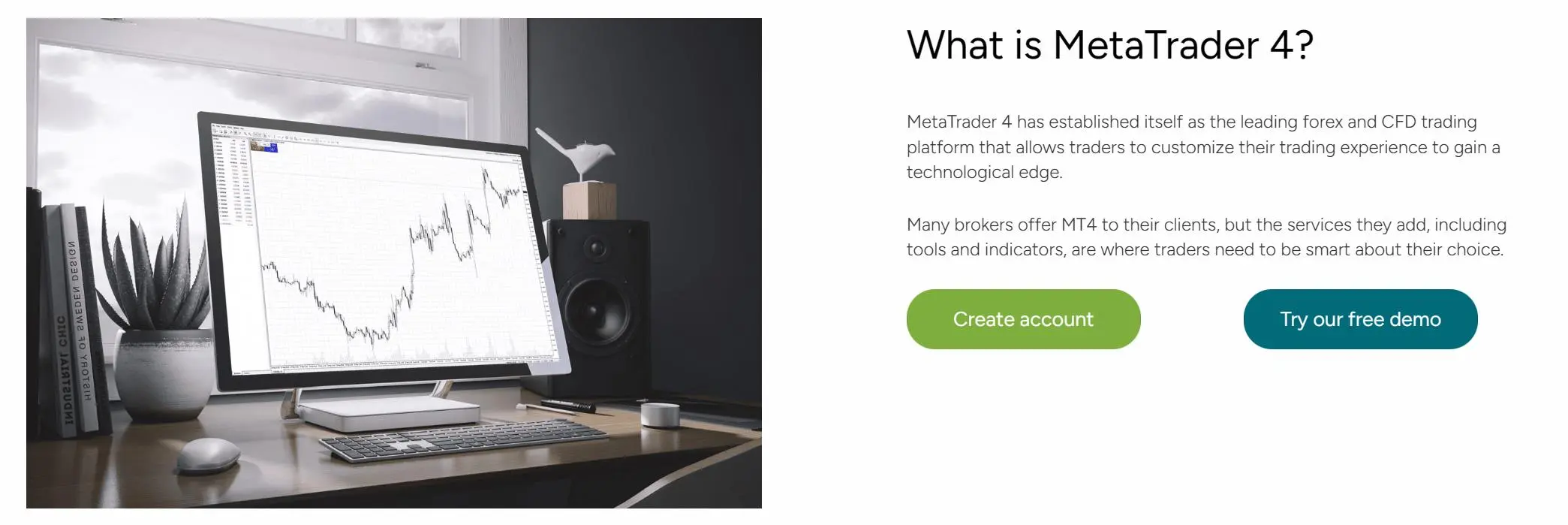 MetaTrader 4 (MT4)