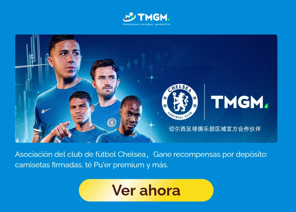 TMGM TMGM