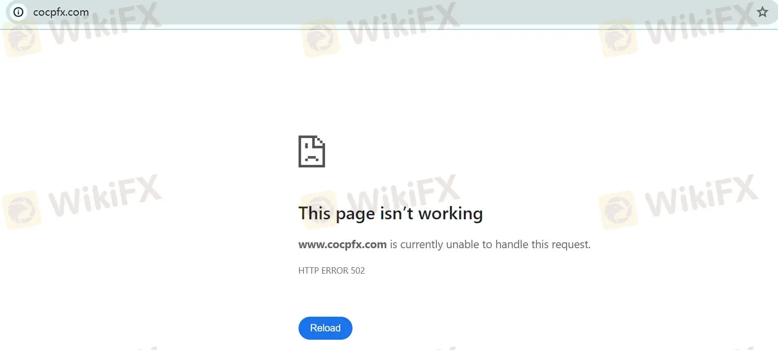Comment ouvrir un compte avec Cornucopia