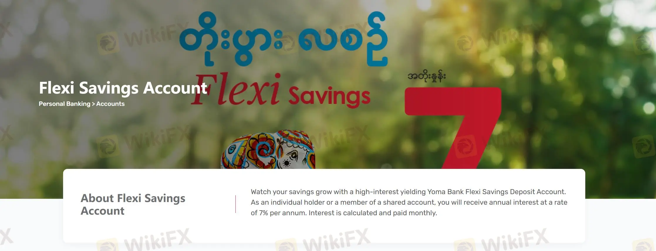 Flexi Savings Accounts