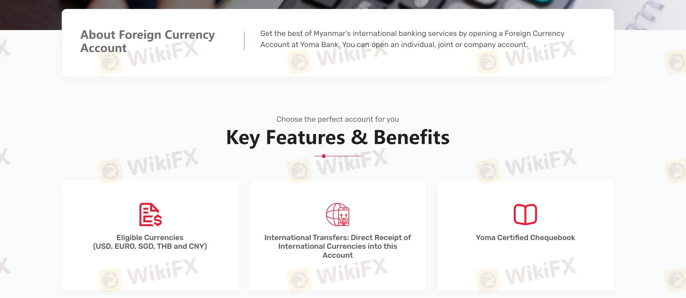 Foreign Currency Accounts