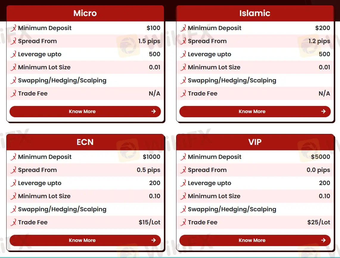 Account comparison Account comparison