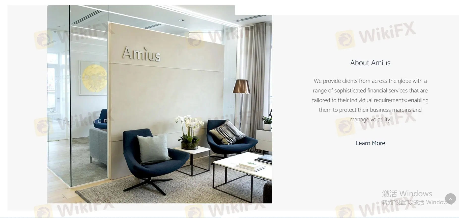 ภาพรวมของ Amius