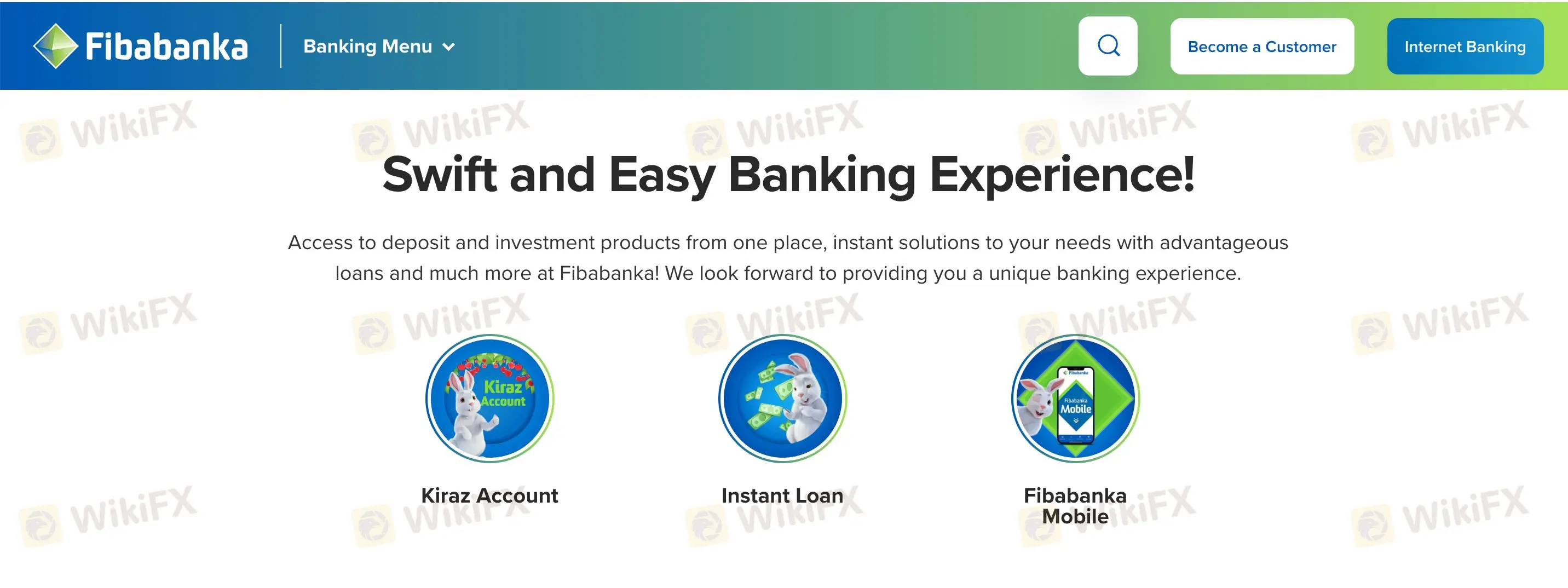 Overview of FIBA BANKA