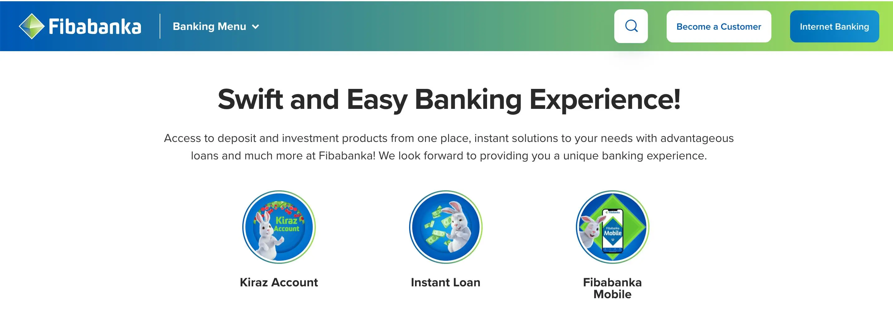 Overview of FIBA BANKA