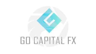GO C应用程序接口TAL FX概述