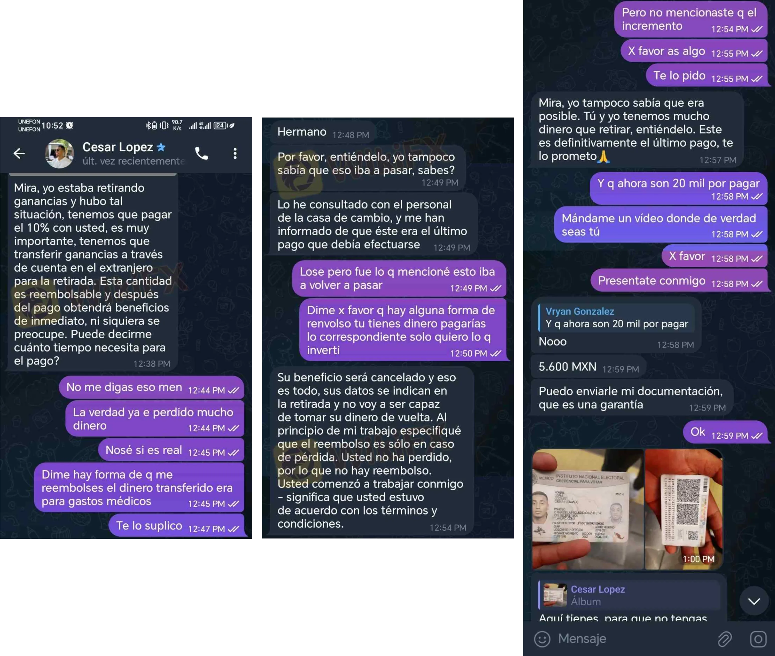Chats.png
