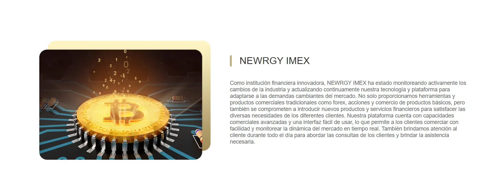 NEWRGY IMEX NEWRGY IMEX