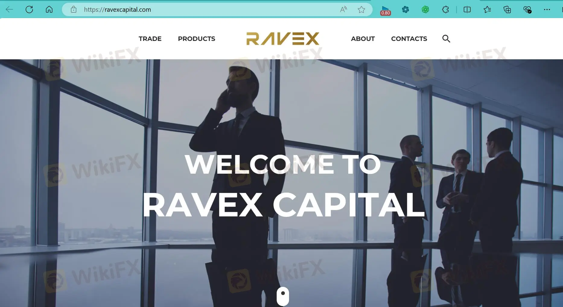 RAVEX的主页